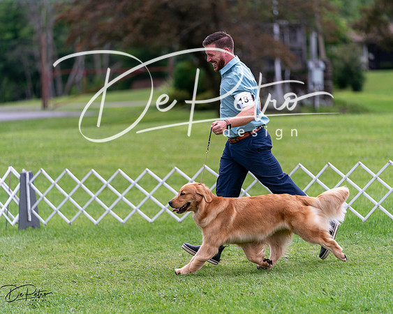 20240630-DSC00810