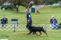 20250627-DSC05562