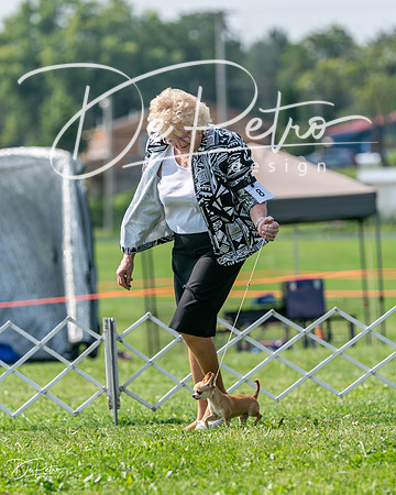 20240816-DSC01083