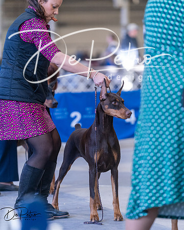 20250302-DSC06572
