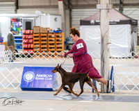 20250301-DSC03906
