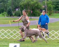 20250626-DSC03949