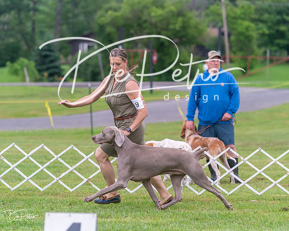 20250626-DSC03949