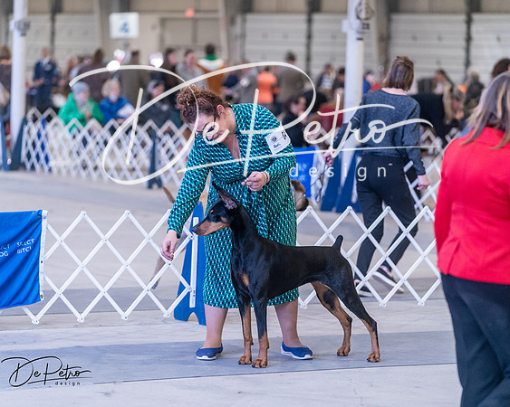 20250302-DSC06778