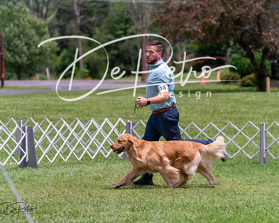 20240630-DSC00582