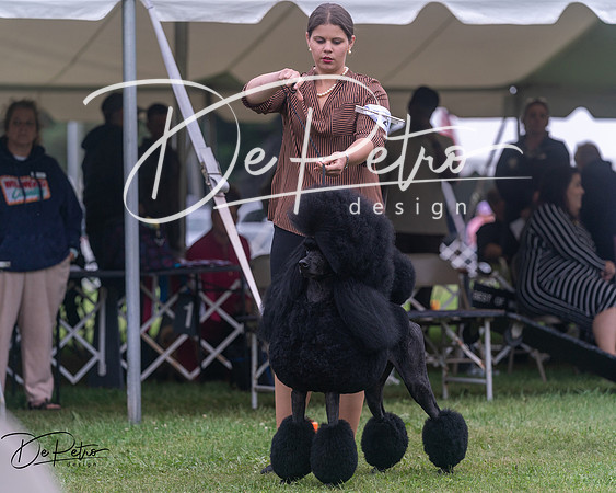 20250627-DSC06775