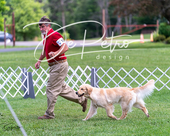 20240630-DSC00215