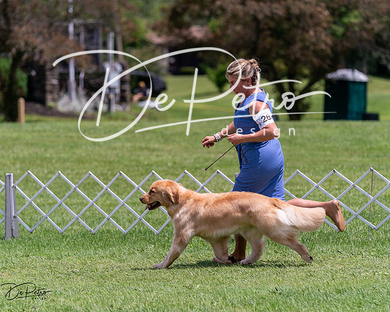 20240630-DSC00396