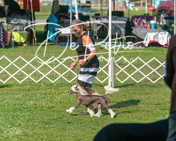 20240913-DSC00134