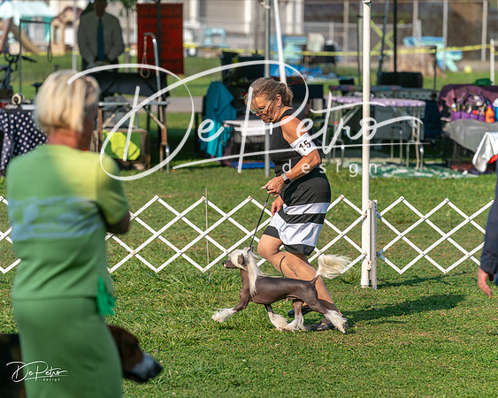 20240913-DSC00431