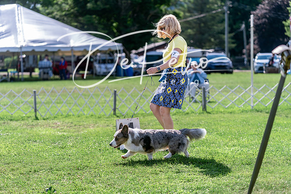 20240630-DSC04930