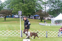 20250626-DSC02646