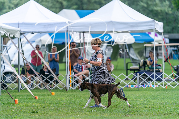 20240630-DSC05388