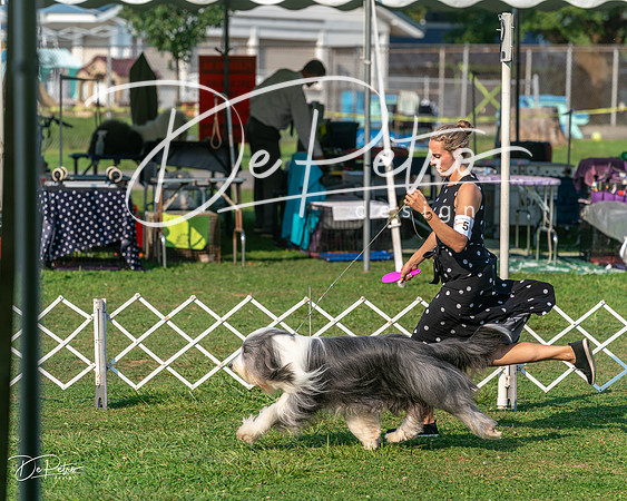 20240913-DSC00181