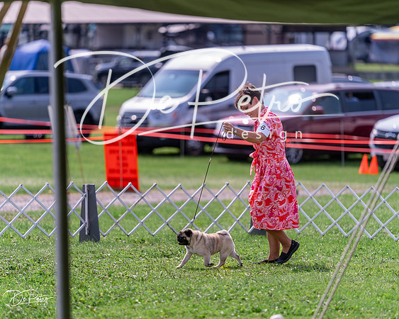 20240815-DSC06574
