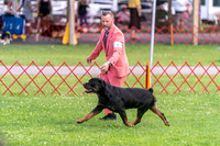 20250621-DSC07706