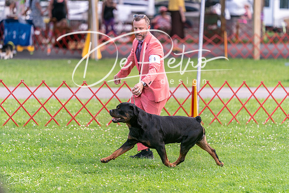 20250621-DSC07706
