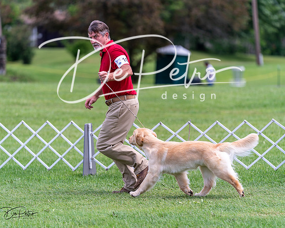 20240630-DSC00116