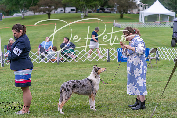 20250627-DSC06313