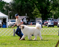 20240630-DSC02911