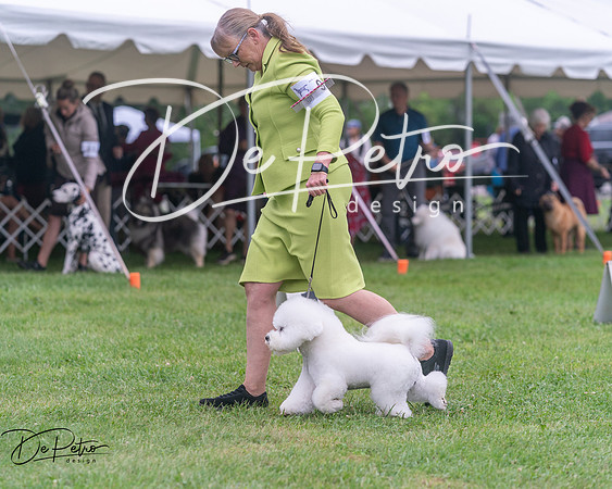 20250627-DSC06700