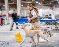 20250301-DSC04588