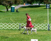 20250629-DSC09468