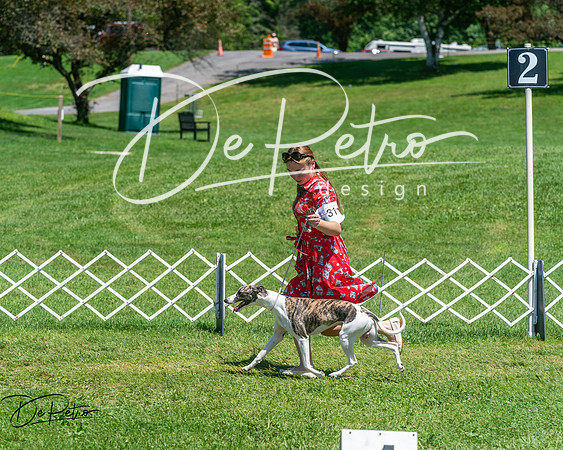20250629-DSC09468