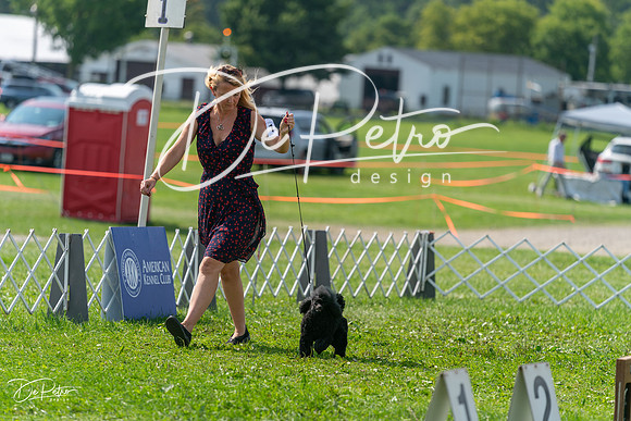 20240816-DSC00448