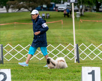 20250626-DSC03061