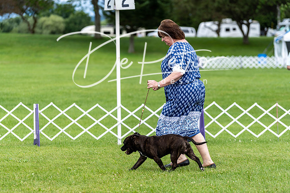 20190630-DSC06530