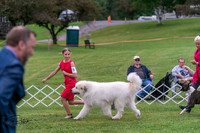 20250627-DSC05660