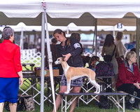 20250626-DSC04407