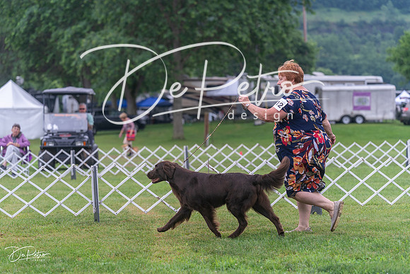 20250626-DSC02549