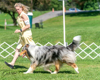 20250629-DSC00741