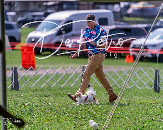 20240815-DSC06621