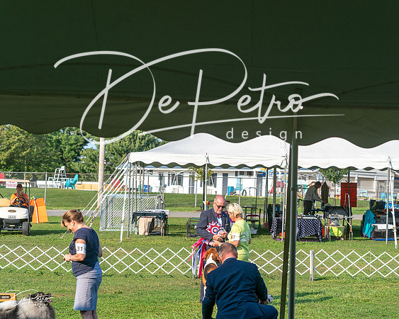 20240913-DSC00496