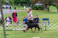 20250627-DSC05600