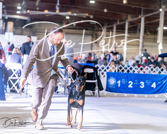 20250302-DSC07122