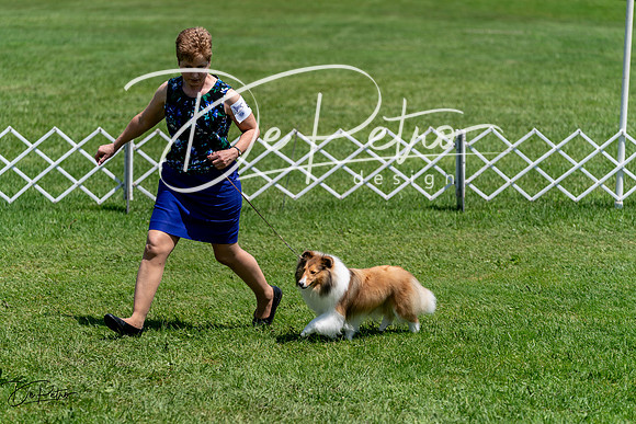 20240630-DSC01381