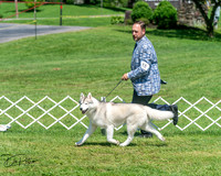 20250629-DSC09708