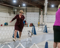20250302-DSC07850