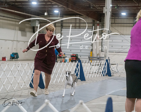 20250302-DSC07850