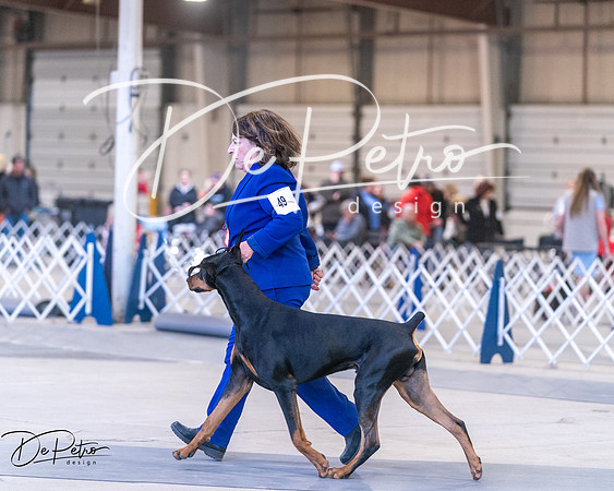 20250302-DSC06233