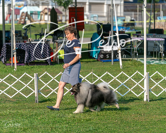 20240913-DSC00353
