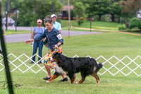 20250628-DSC07488