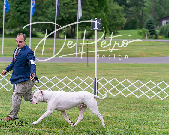 20250626-DSC04272