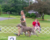 20250626-DSC03893