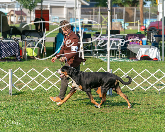 20240913-DSC09976