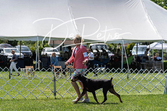 20190609-DSC09414